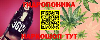 ешки Краснодар