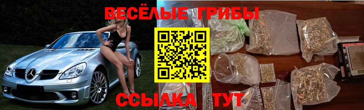 Псилоцибиновые грибы GOLDEN TEACHER  Псилоцибиновые грибы Magic Shrooms  Вход с VPN  купить наркотик  Коммунар 